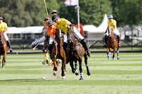 Flemish Farm Trophy - 02/08/2014.