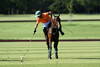 Committee Cup - 15/05/2024.