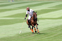 Duke of Wellington - 09/08/2104