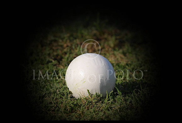 GRU_10971