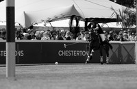 IMG_1702