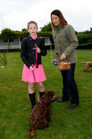 Dog Show - 31/05/2015