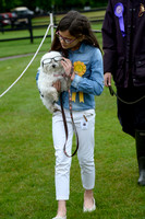 Dog Show - 31/05/2015