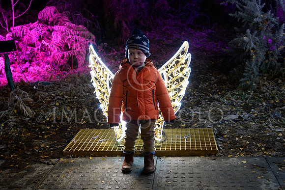 11_12_22 145