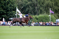 The Royal Salute Coronation Cup 2015 - Action