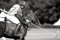 Town & County Championship - 09/08/2015