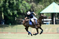 Sotogrande Gold Cup - Low Goal - 20/08/2015.