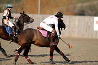 Arundel Equine Hospital Cup - 11/02/2012