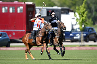 Polo 2026
