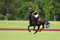 Committee Cup finals - 31/05/2026