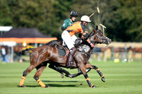 Autumn Cup and Dog Show at Cowdray Park Polo Club - 20/09/2015.