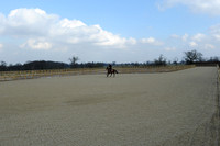 Flemish Farm photo shoot - 19/03/2013.