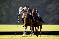 Flemish Farm Trophy - 25/08/2016.
