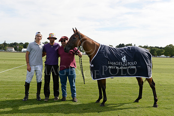 Archie David Cup Final - DOLLY - Miguel Novillo Astrada - Owned by Will Emerson - 05_07_26 451
