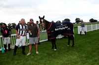 Images of Polo Best Playing Ponies 2019