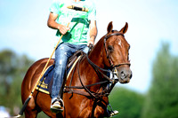 Ellerstina Gold Cup - 11/11/2014