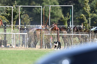 06_09_26 062