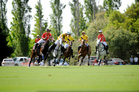 Ellerstina Gold Cup - 05/11/2015.