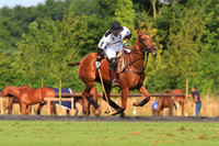 Gold Cup - 11/07/13.