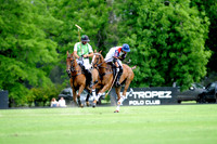 Ellerstina Gold Cup - 08/11/2015.
