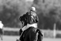 Sotogrande Silver Cup Medium Goal finals - 17/08/13.