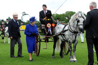 Al Habtoor Royal Windsor Cup final - 23/06/13