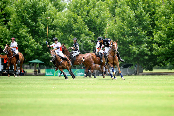 23_11_15_A 310