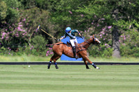 Pommery Archie David Cup - 14/06/13.