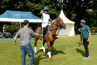 Royal Windsor Cup