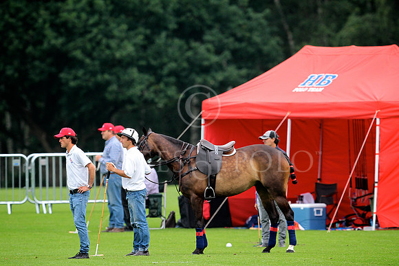 11_06_16_A 0163