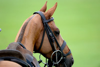 Gold Cup - 22/06/2016.