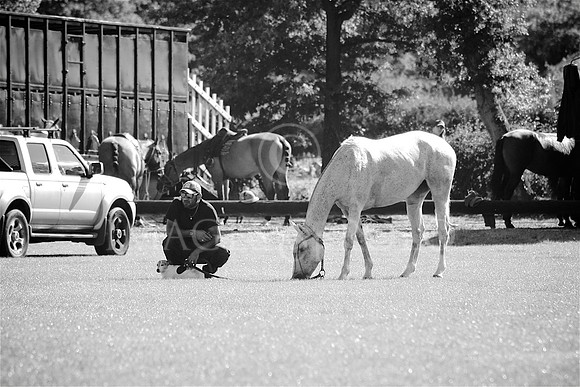 19_09_15_A 255