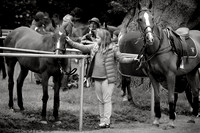 18_06_16_A 0034