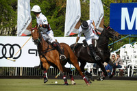 Tortugas Open - 02/10/13