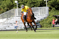 Flemish Farm Trophy - 18/07/2014.