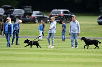Suzie Meadows