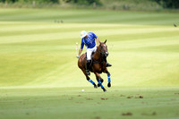 Gold Cup - 27/06/2016 .