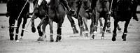 Cartier Queen's Cup - 18/05/2016.
