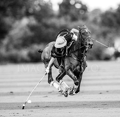 30_08_20 0159-2