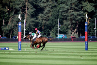 Chairman's Cup - 11/09/2016.