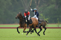 Committee Cup - 22/05/2024.