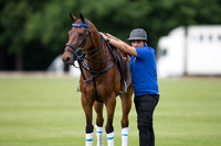 Cartier Queen's Cup - 31/05/2017.
