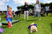 Dog Show at Guards Polo Club -  04/06/2017.