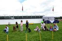Dog Show at Guards Polo Club -  04/06/2017.