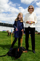 Dog Show - 04/06/2017