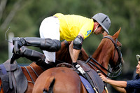 Flemish Farm Trophy - 03/08/2014.
