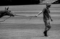 IMG_0148_1