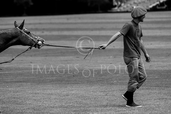 IMG_0148_1