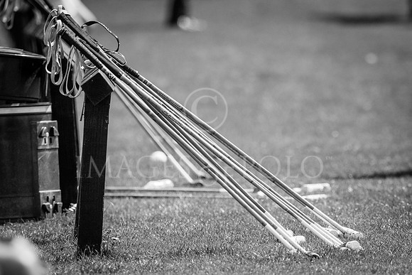 06_08_17_H 075