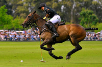 Tortugas Open - 08/10/2014